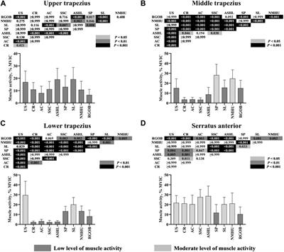 Scapular kinematics and muscle activity during Yi Jin Bang exercises